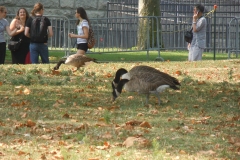 DSCN0373
