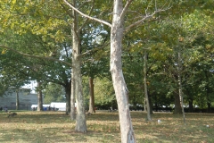 DSCN0375