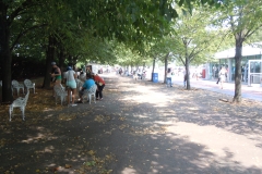 DSCN0378