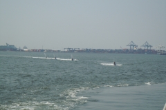 DSCN0385