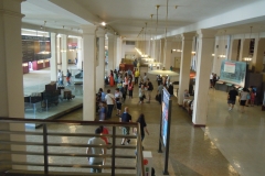 DSCN0445