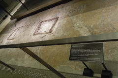 DSCN0476