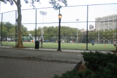 DSCN0534