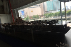 DSCN0634-101