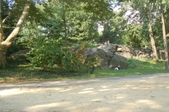 DSCN0640