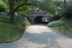 DSCN0645