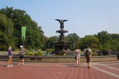 DSCN0654