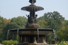 DSCN0655