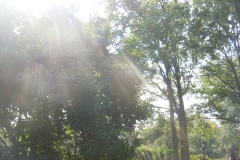 DSCN0667