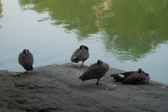 DSCN0673