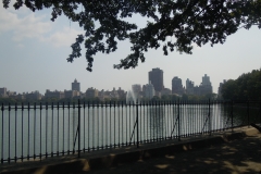 DSCN0682