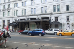 DSCN0706