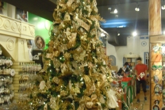 DSCN0785