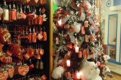 DSCN0791