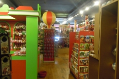 DSCN0793