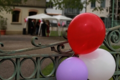 Bild1-13