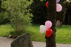 Bild1-9